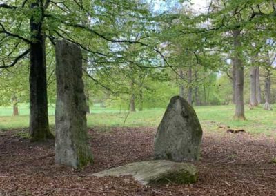 Gravplats på Gravfältet vid Häglinge