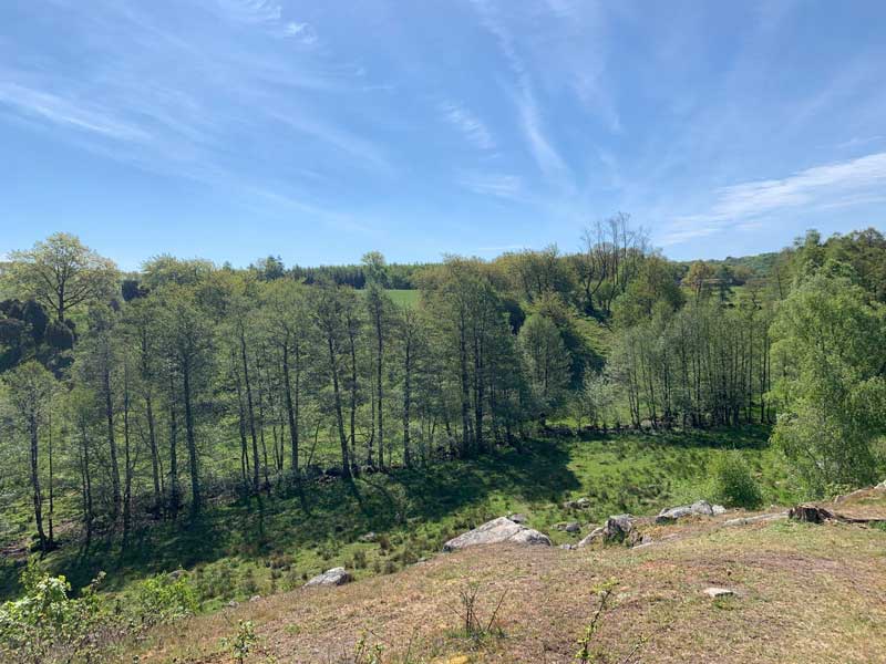 Körsbärsdalen – Humlamadens naturreservat