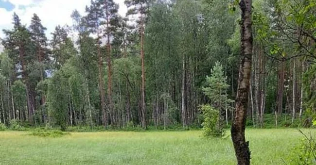 Store Mosse nationalpark – Värnamo