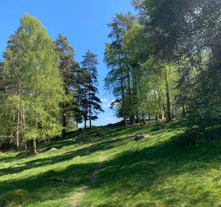 Dunderbäckens naturreservat – Skåne
