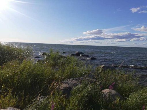 Hinden Rev - Lidköping udden
