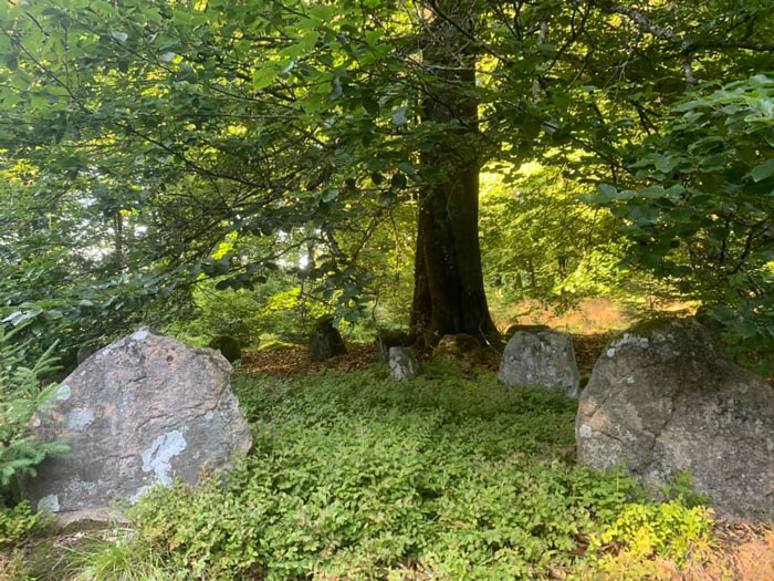 Ekeröd gravfält Skåne