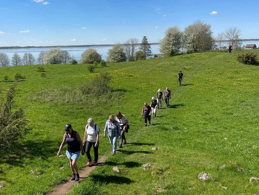 Guidade vandringar med FalbygdsTurism En grupp vandrare med FalbygdsTurism på en somrig grön äng nära vatten. Guiden leder gruppen genom den vackra naturen.