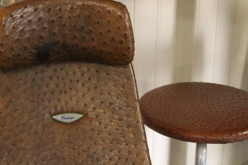 Falbygdens Struts – Exklusiva produkter i strutsskinn Närbild på en stol klädd i exklusivt strutsskinn, fotograferad på Falbygdens Struts gårdsbutik och café.