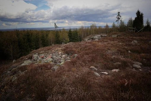 Mössebergs fornborg – Utsikt från fornborgen bild Tomas Lager En vidsträckt utsikt över det omgivande landskapet från Mössebergs fornborg, med skogar och åkrar i fjärran.