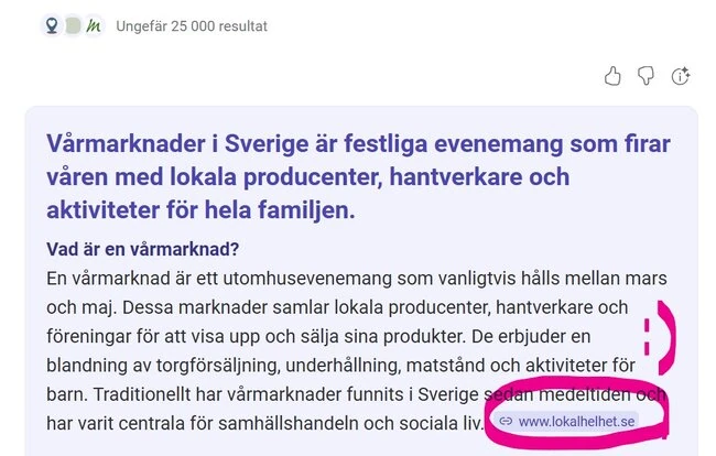 När Lokal Helhet hamnar överst – synlighet i världsklass
